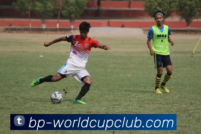 世俱杯线上平台平台生态图